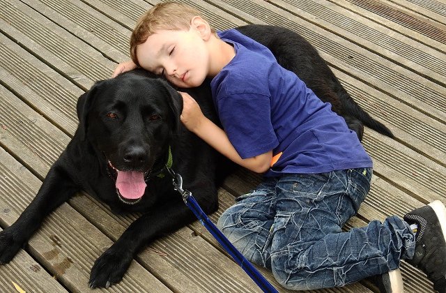 Inocenta in stare pura. 8 motive pentru care orice copil ar trebui sa aiba un animal de companie