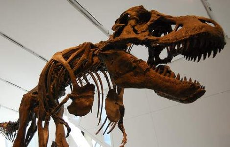 Dinozauri 3D la Muzeul Antipa