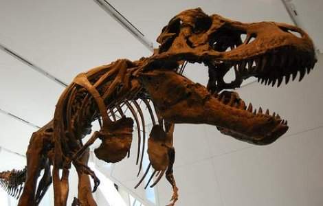 Dinozauri 3D la Muzeul Antipa