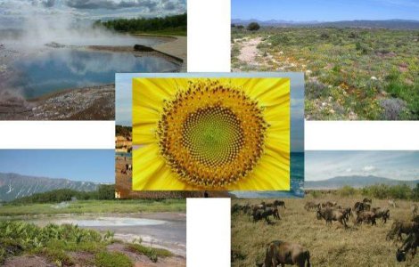  Top  Unde calatorim in luna AUGUST?