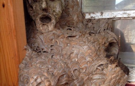  Top  10+ imagini care vor speria si te vor pune pe ganduri