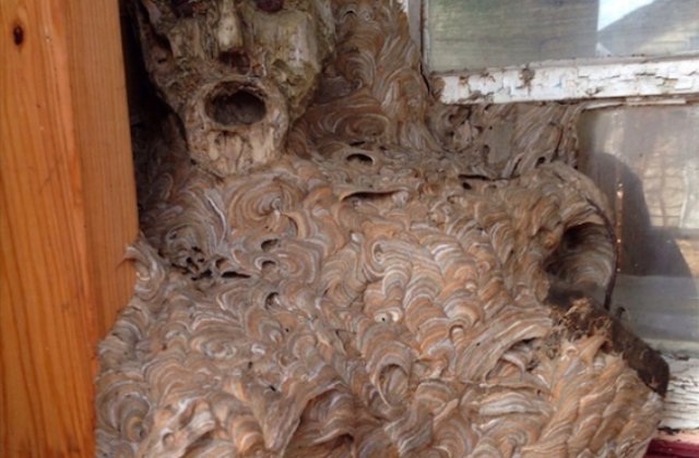 10+ imagini care vor speria si te vor pune pe ganduri