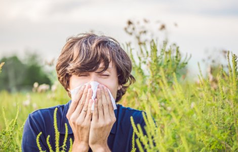 Administrarea fara reteta a medicamentelor contra rinitei alergice sezoniere ameninta fertilitatea masculina