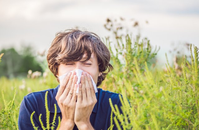 Administrarea fara reteta a medicamentelor contra rinitei alergice sezoniere ameninta fertilitatea masculina