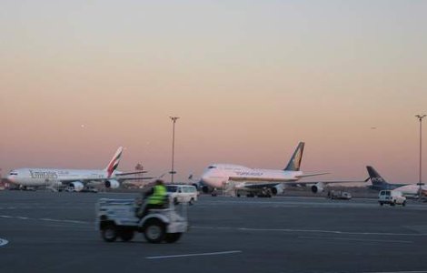 Aeroportul J.F.K din New York, invadat de... broaste testoase