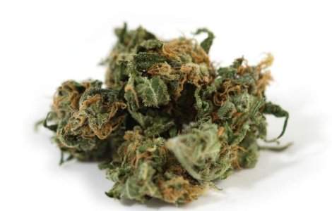 Fost baschetbalist portorican, arestat pentru cultivarea de marijuana