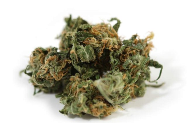 Fost baschetbalist portorican, arestat pentru cultivarea de marijuana