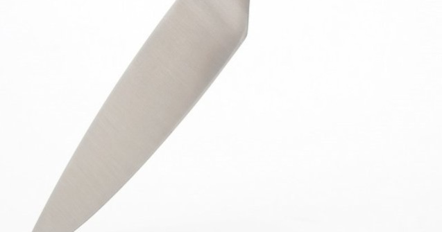 Atac cu cutitul in fata resedintei ambasadorului Iranului la Viena. Agresorul a fost ucis