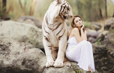  Top  De la lupi la arici si maimute: 10 tari care interzic detinerea anumitor specii de animale