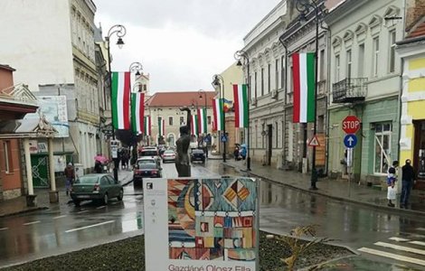 Primaria din Sfantu Gheorghe, somata sa arboreze si drapelul Romaniei, nu doar pe cel al Ungariei