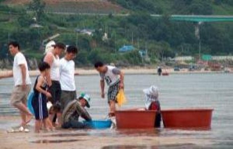 Europa "hraneste" Coreea de Nord