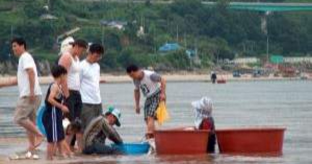 Europa "hraneste" Coreea de Nord