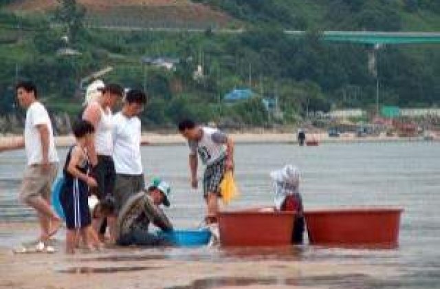 Europa "hraneste" Coreea de Nord