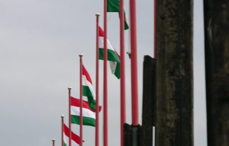 Primaria din Sfantu Gheorghe a fost amendata cu 5.000 de lei pentru arborarea steagului Ungariei