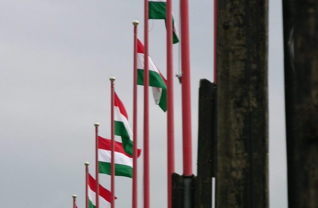 Primaria din Sfantu Gheorghe a fost amendata cu 5.000 de lei pentru arborarea steagului Ungariei