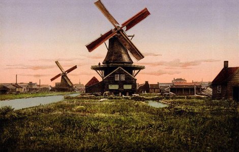 MAE `la cutite` cu Olanda! Cauza? Muncitorii romani