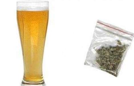  Video  Berea cu marijuana, acum si in Romania!