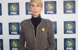 Turcan ii cere lui Dragnea sa o lase pe Dancila sa prezinte de la tribuna Parlamentului "ce se intampla cu tara"
