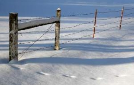  Video  Iarna grea in Chile