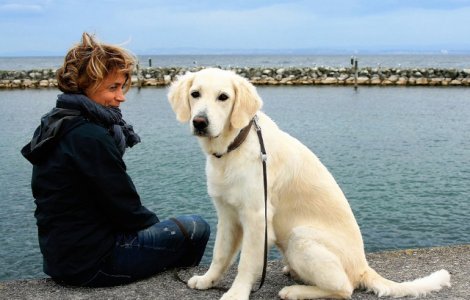  Top  Ce rasa de caine ti se potriveste, in functie de zodia in care esti