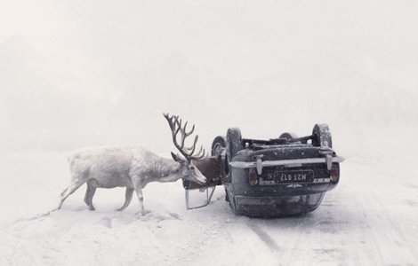  Top  Acestia sunt castigatorii Sony World Photography Awards 2018