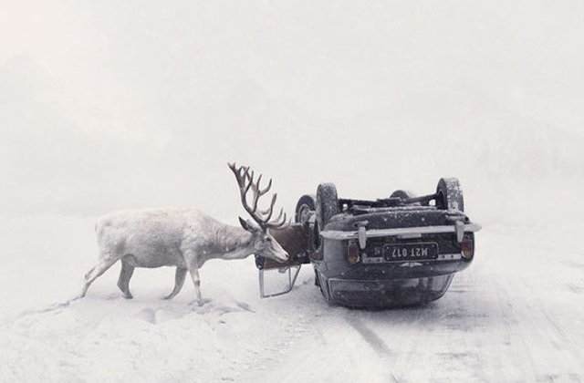 Acestia sunt castigatorii Sony World Photography Awards 2018: 10 imagini exceptionale