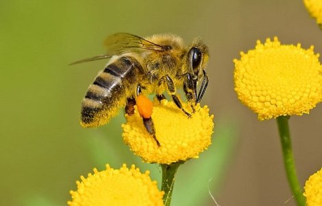 Terapia periculoasa care a ucis o femeie de 55 de ani