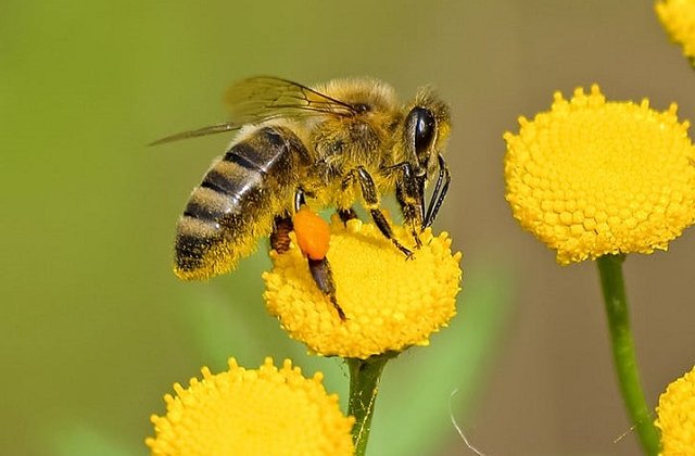 Terapia periculoasa care a ucis o femeie de 55 de ani