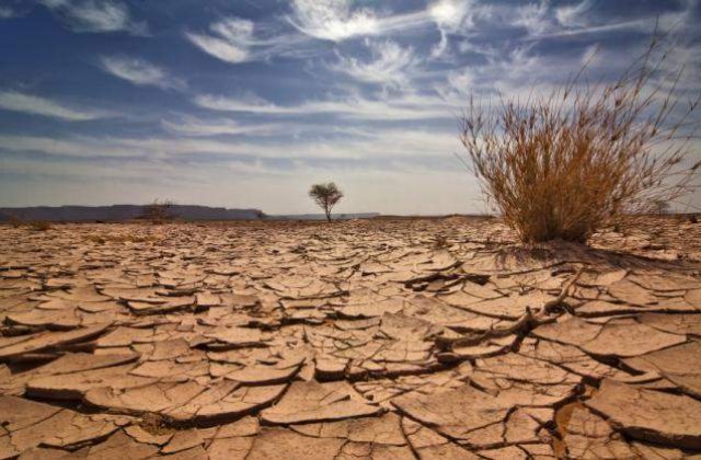 Vijelii, ploi torentiale si grindina, de luni seara, in toata tara