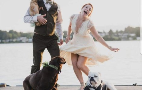  Top  13 imagini de la nunti care te vor face sa privesti cu alti ochi aceste evenimente... fericite