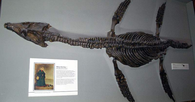  Video  Cel mai mare PRADATOR de pe Pamant a fost descoperit