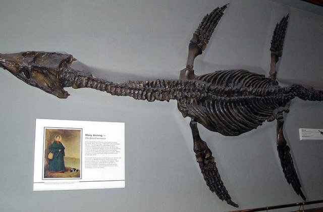 [VIDEO] Cel mai mare PRADATOR de pe Pamant a fost descoperit