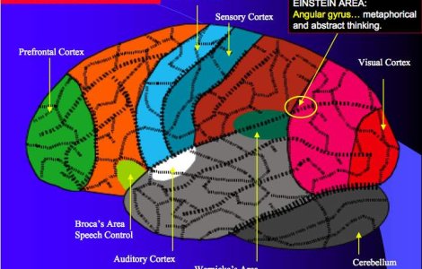  Top  Top 10: Lideri geniali ai lumii