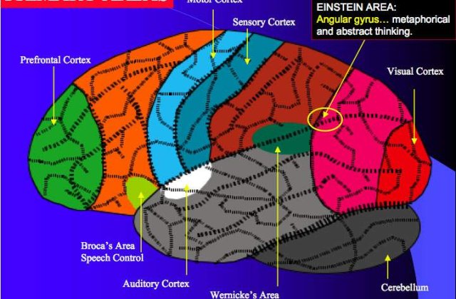 Top 10: Lideri geniali ai lumii