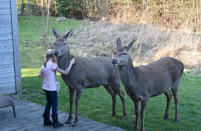 10+ fotografii care demonstreaza ca oamenii si animalele pot trai in deplina armonie