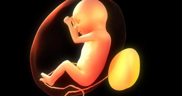 Reizbucneste dezbaterea pe tema avortului