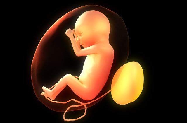 Reizbucneste dezbaterea pe tema avortului