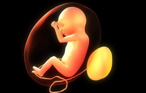 Reizbucneste dezbaterea pe tema avortului