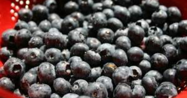  Top  Cinci gustari care te fac mai destept