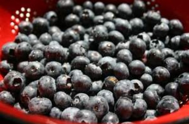 Cinci gustari care te fac mai destept