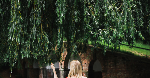  Top  Obiceiuri de Florii: Ramura de salcie sfintita, folosita si in scopuri terapeutice