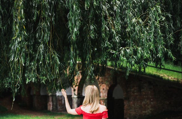 Obiceiuri de Florii: Ramura de salcie sfintita, folosita si in scopuri terapeutice