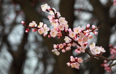 Cum va fi vremea in Bucuresti, duminica si luni