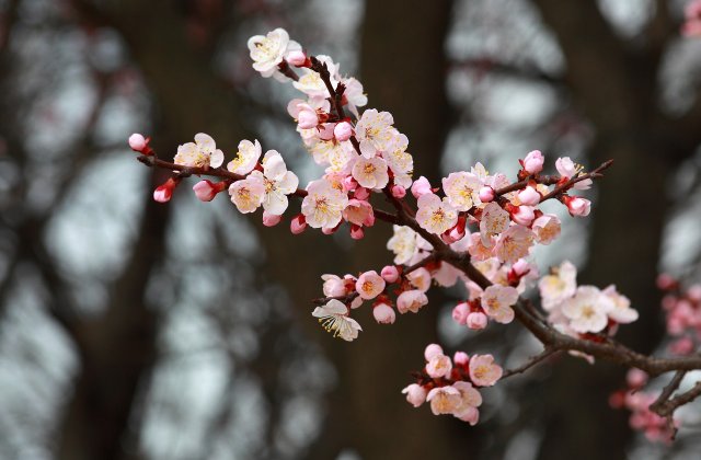 Cum va fi vremea in Bucuresti, duminica si luni