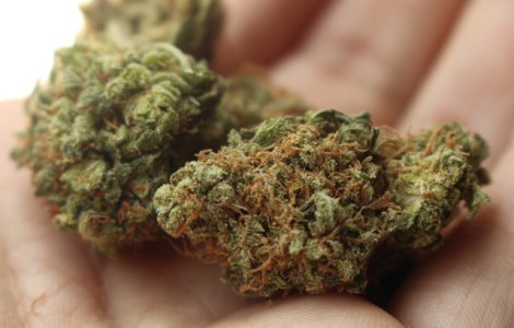 Un tanar din Cluj, retinut pentru trafic de droguri de risc. Coletul fusese transportat cu un autocar, din Spania