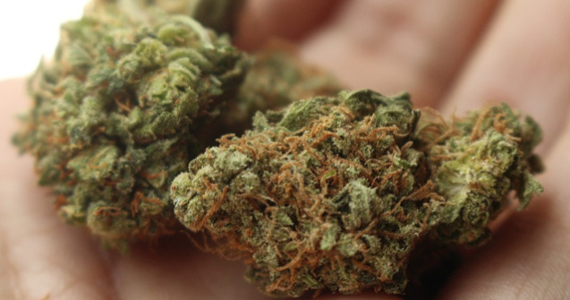 Un tanar din Cluj, retinut pentru trafic de droguri de risc. Coletul fusese transportat cu un autocar, din Spania