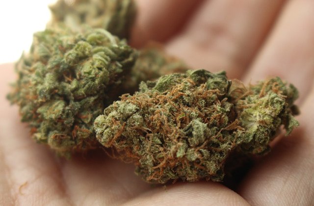 Un tanar din Cluj, retinut pentru trafic de droguri de risc. Coletul fusese transportat cu un autocar, din Spania