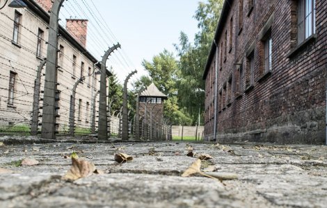  Top  8 lucruri de stiut despre lagarul de concentrare de la Auschwitz