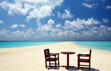  Top  Cum supravietuim pe timp de canicula?