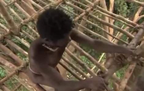 BBC recunoaste ca a trucat o parte a unui documentar despre triburile din Papua Noua Guinee